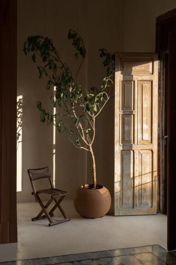 Apartament Narrativ Lofts - Numen - Stylish Hideaway Campeche Zewnętrze zdjęcie